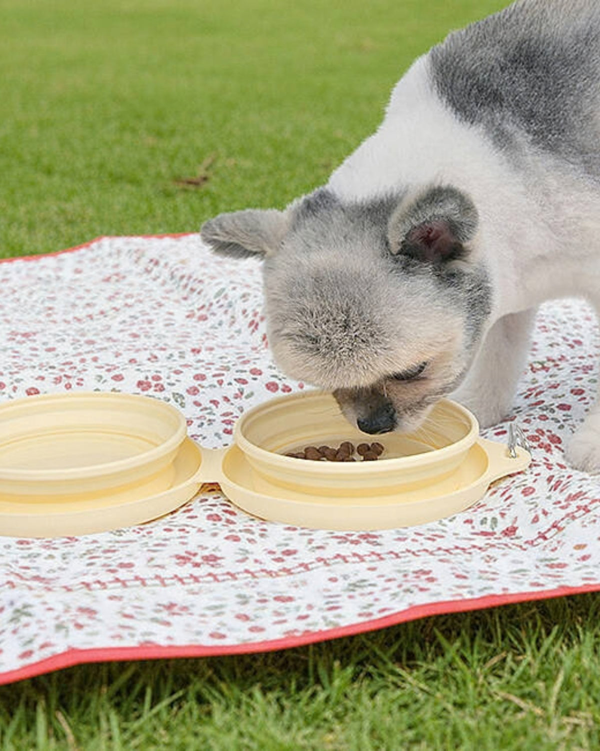 Katlanabilir Çift Hazneli Sarı Silikon Köpek Seyahat Kabı Olchi Smile Dual Bowl