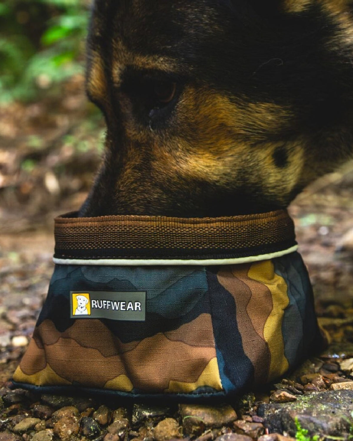 Katlanabilir Köpek Mama ve Su Kabı Ruffwear Quencher