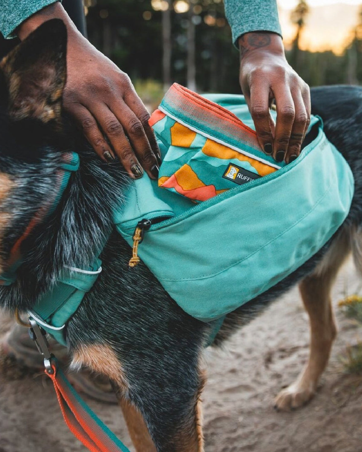 Katlanabilir Köpek Mama ve Su Kabı Ruffwear Quencher