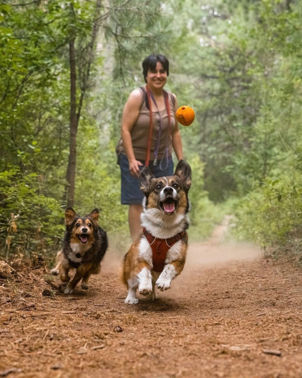 Kauçuk Fırlatma Topu Ruffwear Turnup