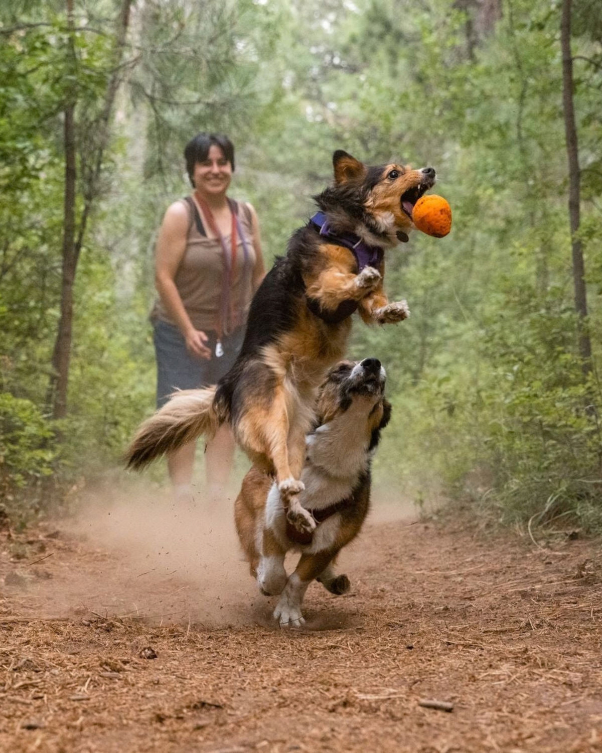 Kauçuk Fırlatma Topu Ruffwear Turnup