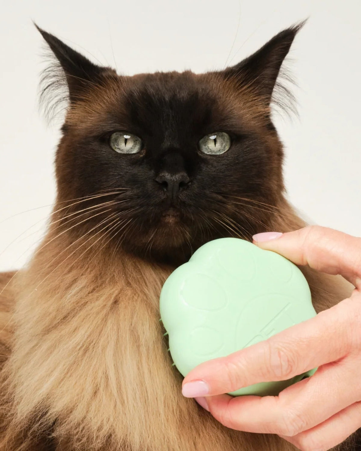 Kedi Tarama Fırçası Tangle Pet Teezer Cat Grooming Brush