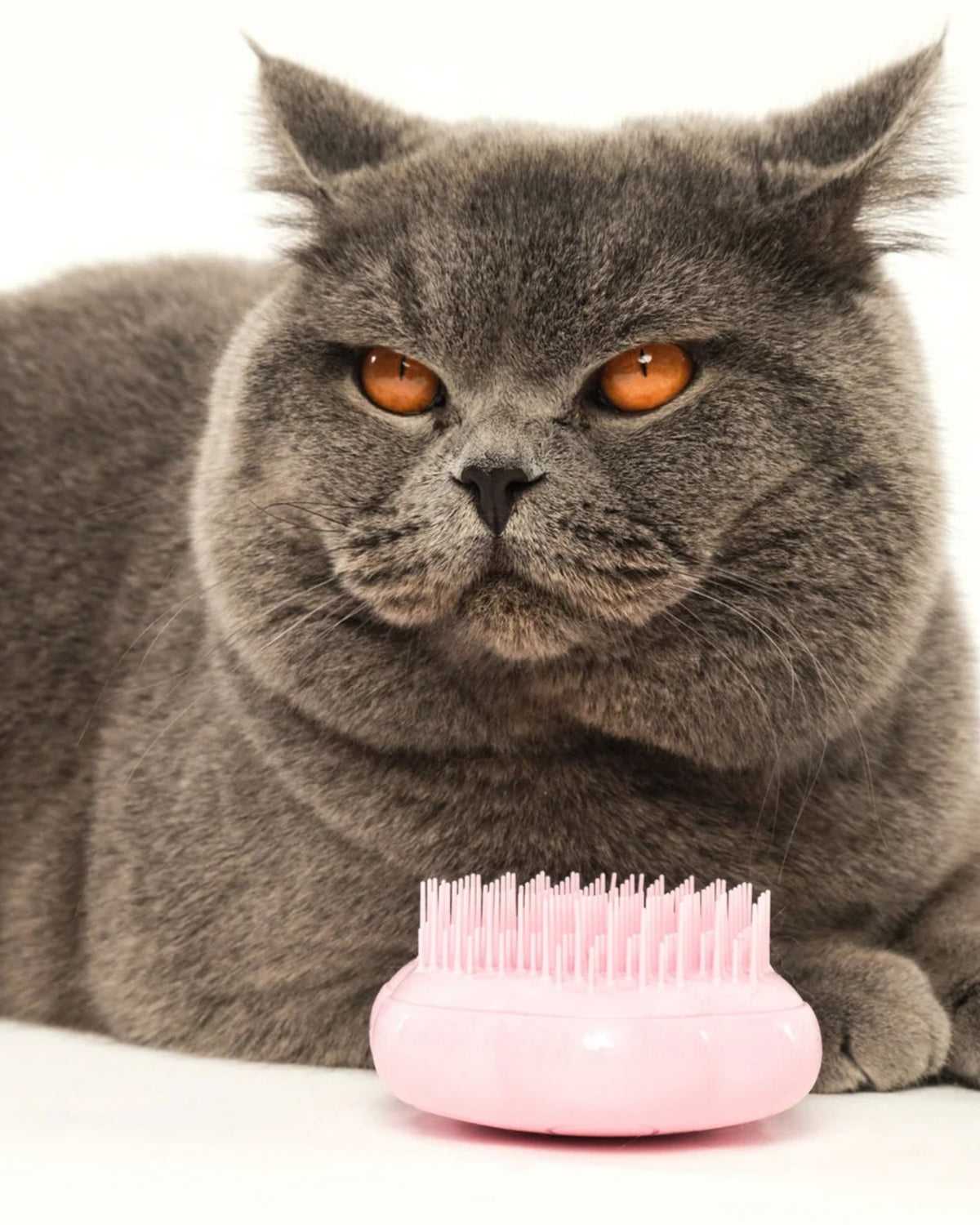 Kedi Tarama Fırçası Tangle Pet Teezer Cat Grooming Brush