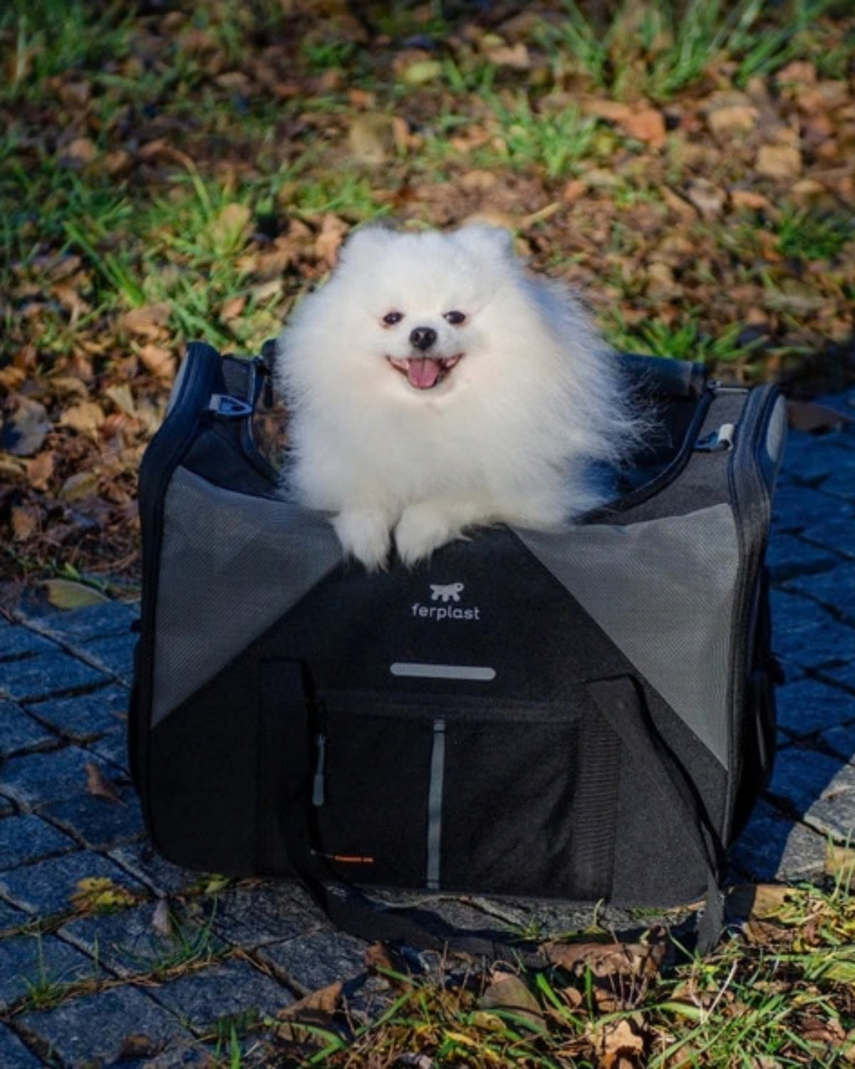 Kedi ve Küçük Köpek Taşıma Çantası Ferplast Voyager Carrier
