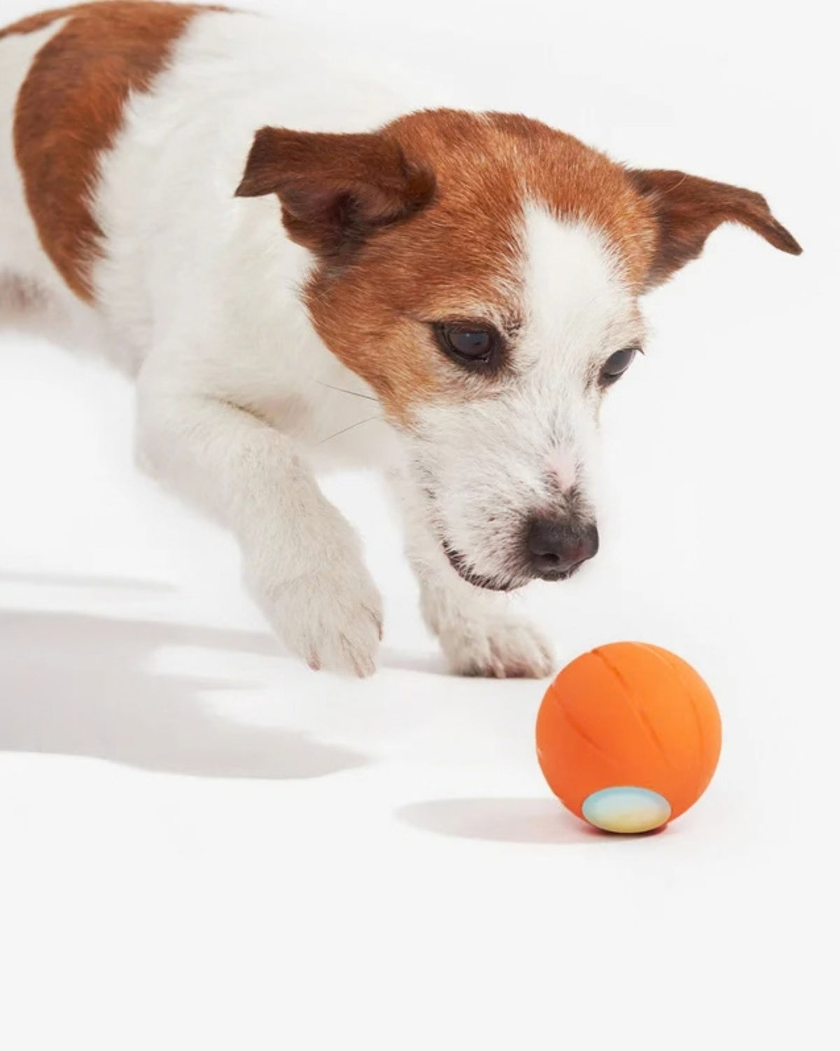 Kendi Kendine Yuvarlanan Işıklı Şarjlı Küçük Irk Köpek Topu Cheerble Wicked Ball SE
