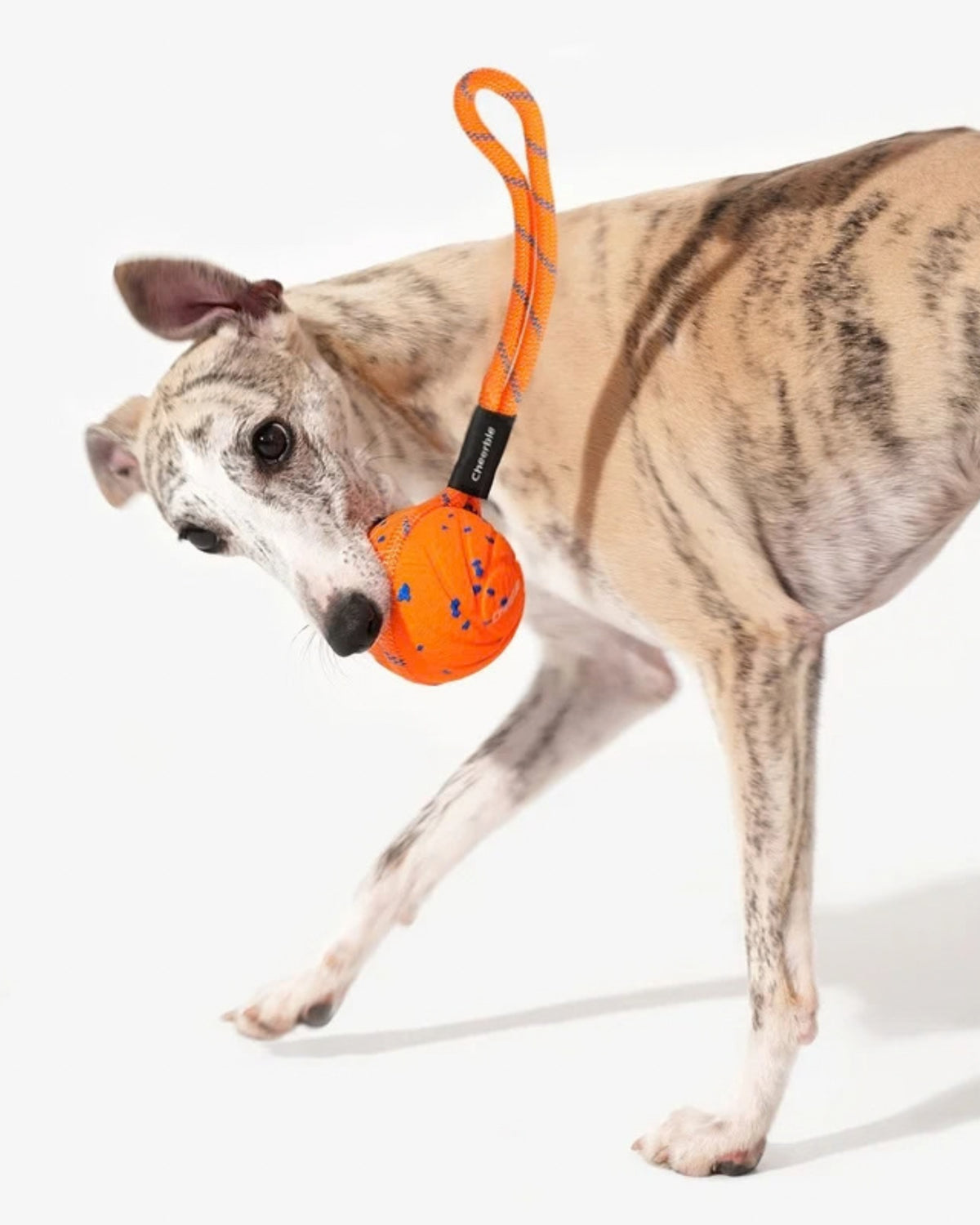 Kendi Kendine Zıplayan Halatlı Şarjlı İnteraktif Köpek Topu Cheerble Wicked Ball Air Rope