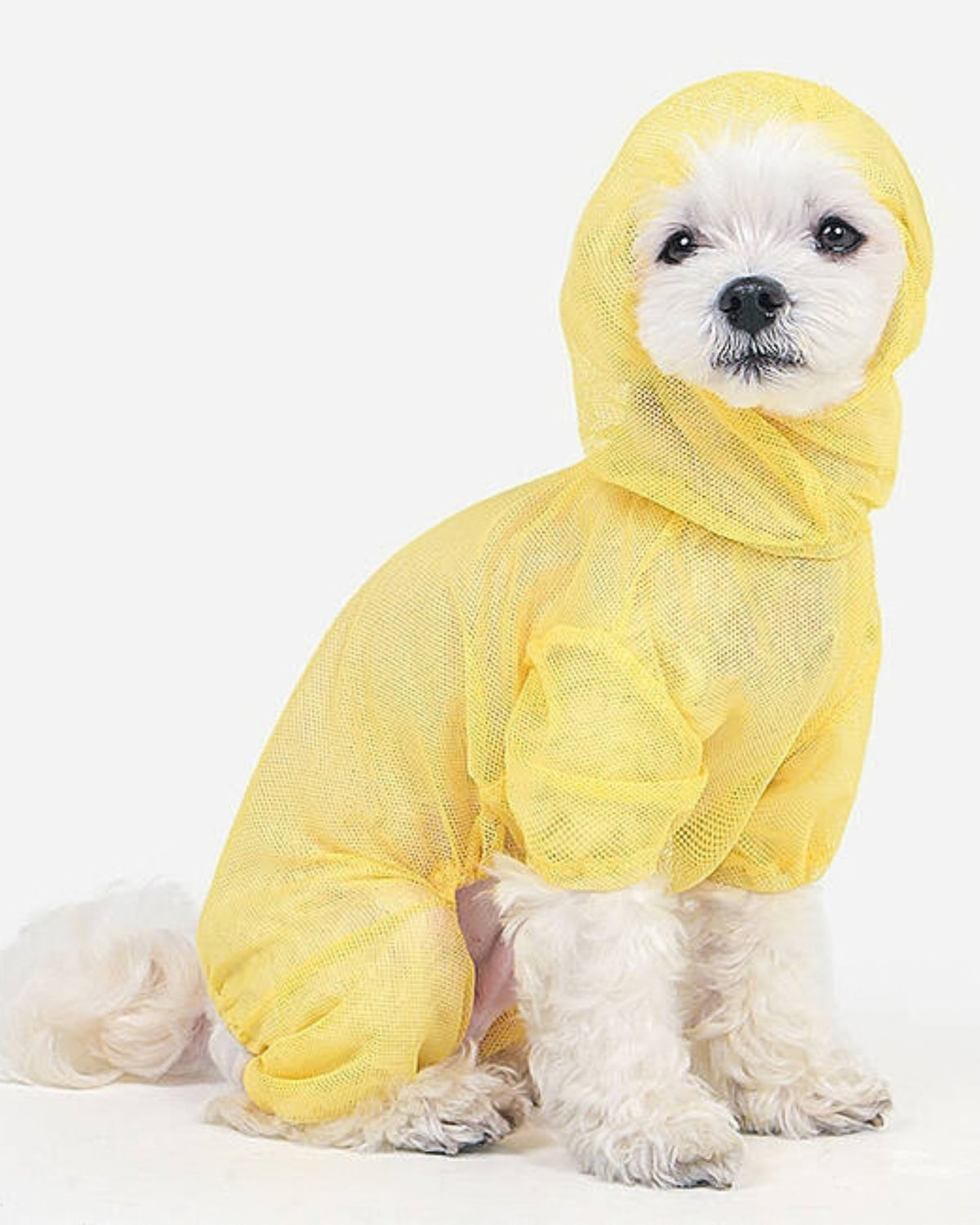 Kene ve Böceklere Karşı Koruyucu File Köpek Tulumu Olchi Bug Shield Mesh Suit