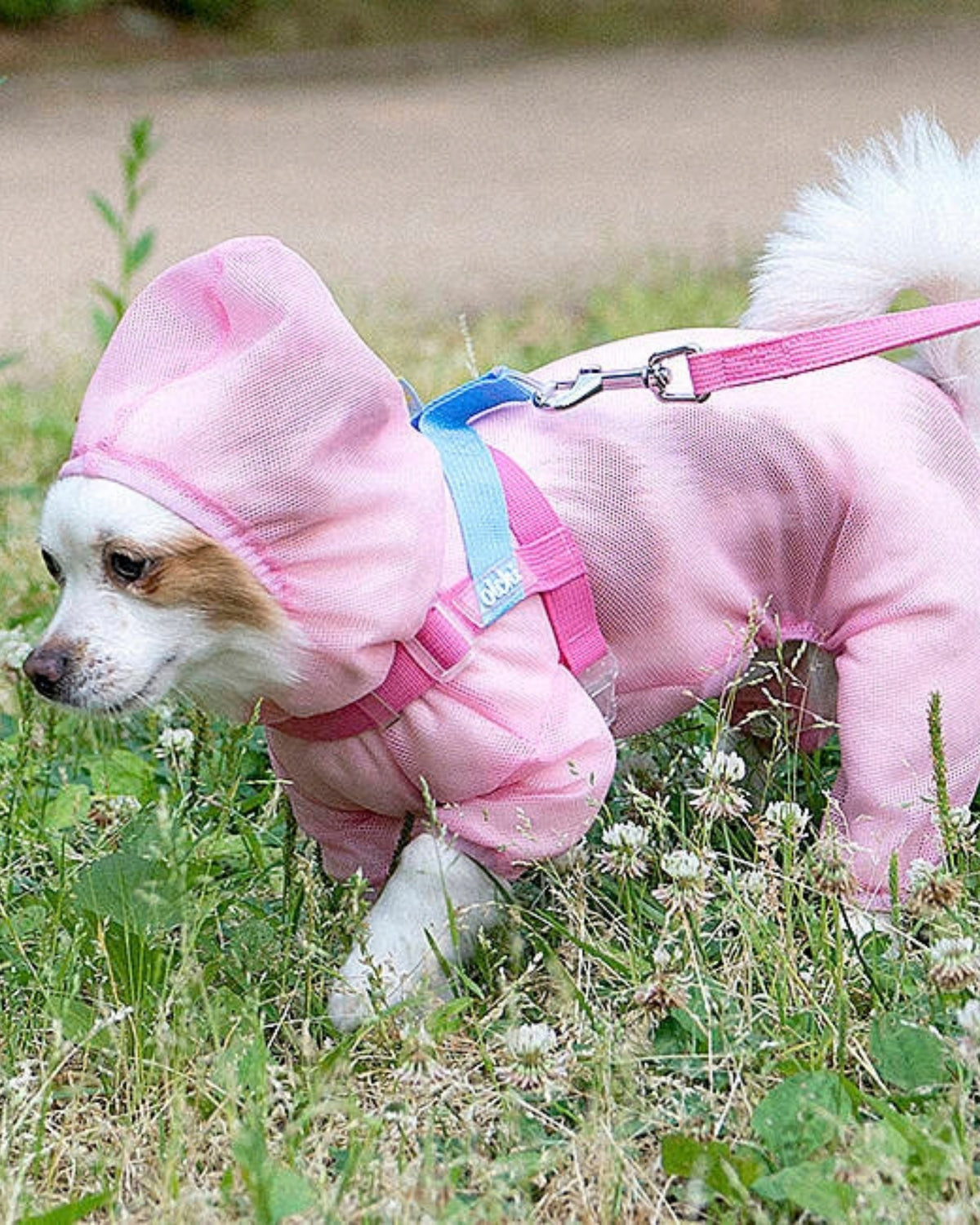 Kene ve Böceklere Karşı Koruyucu File Köpek Tulumu Sarı Olchi Bug Shield Mesh Suit