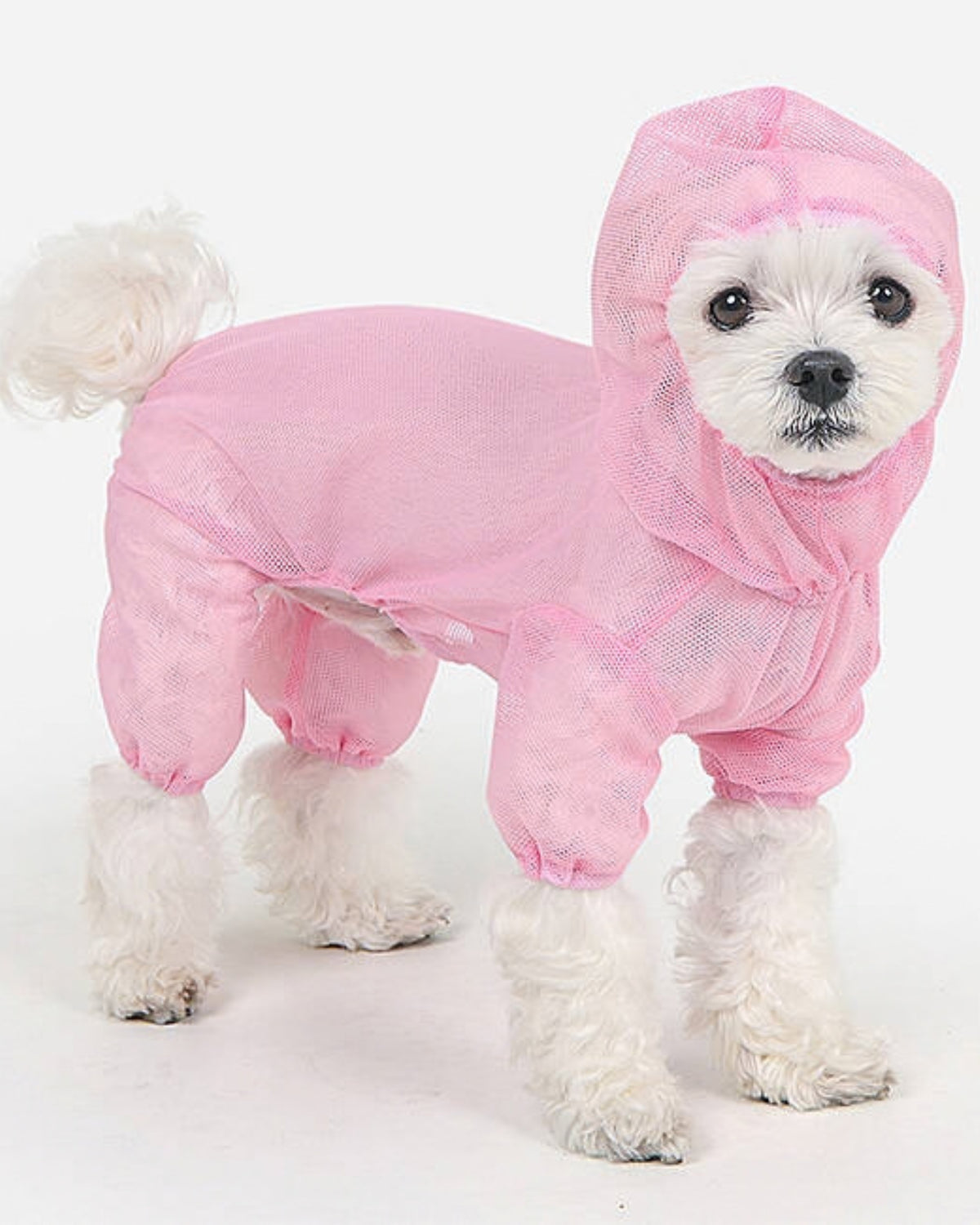 Kene ve Böceklere Karşı Koruyucu File Köpek Tulumu Sarı Olchi Bug Shield Mesh Suit
