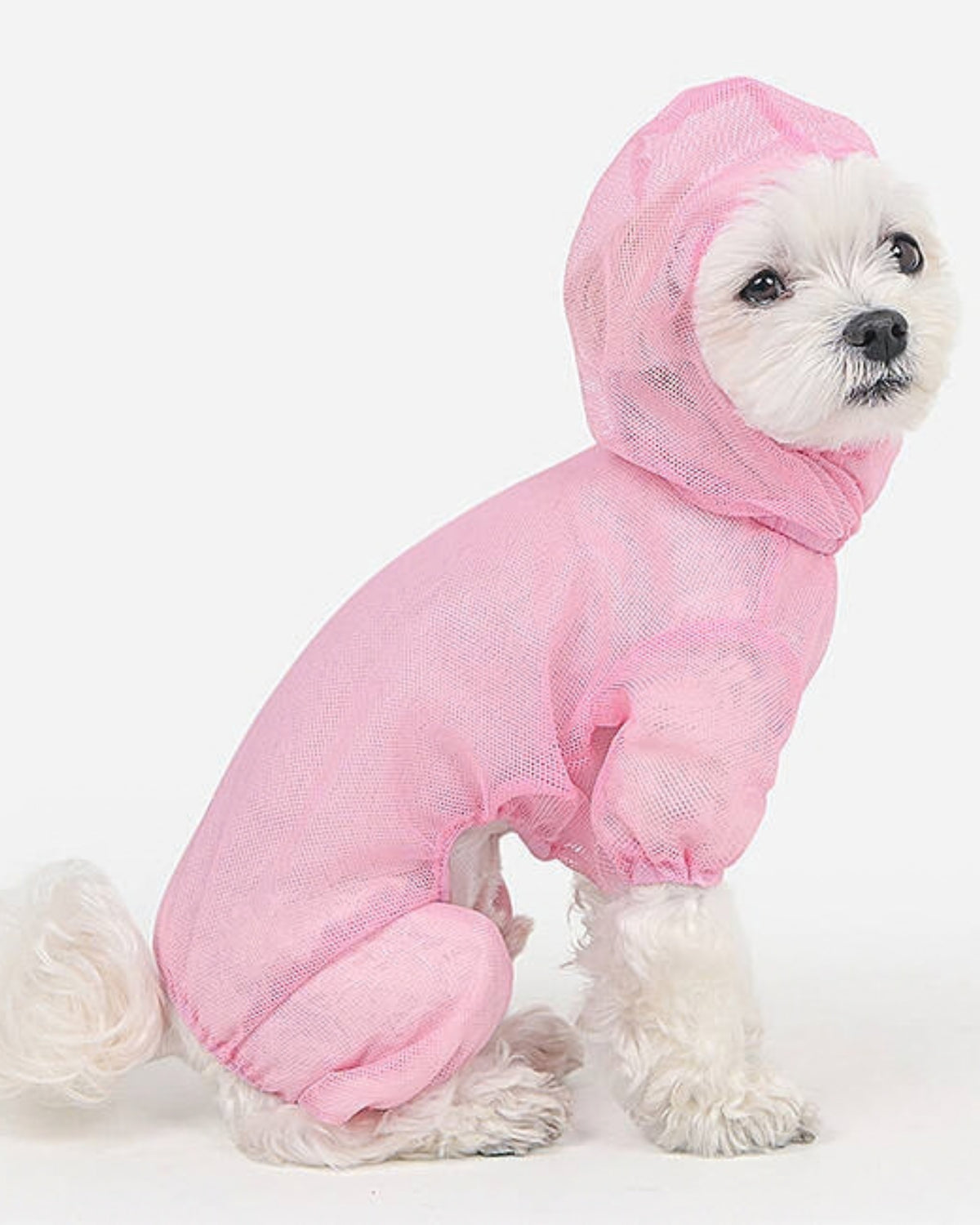Kene ve Böceklere Karşı Koruyucu File Köpek Tulumu Sarı Olchi Bug Shield Mesh Suit
