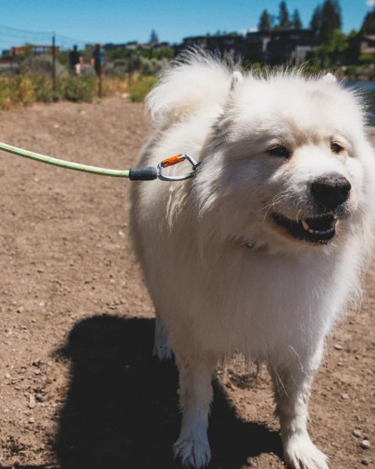 Kısa İp Köpek Tasması Ruffwear Knot a Long