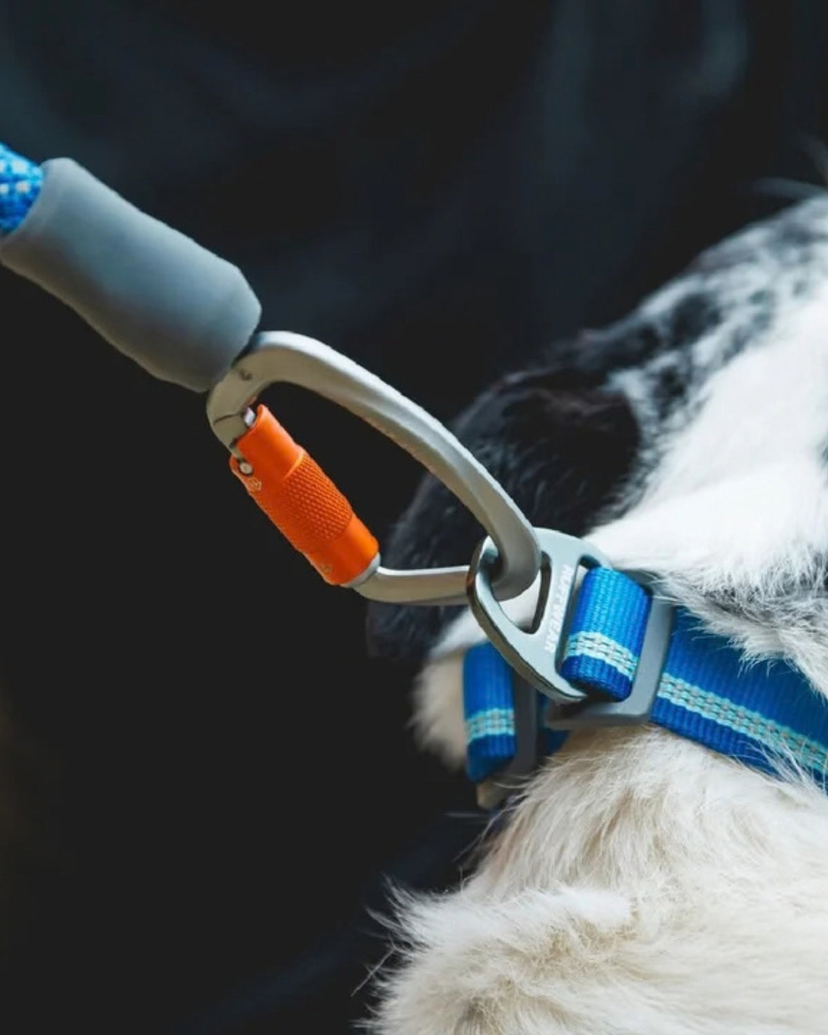 Kısa İp Köpek Tasması Ruffwear Knot a Long