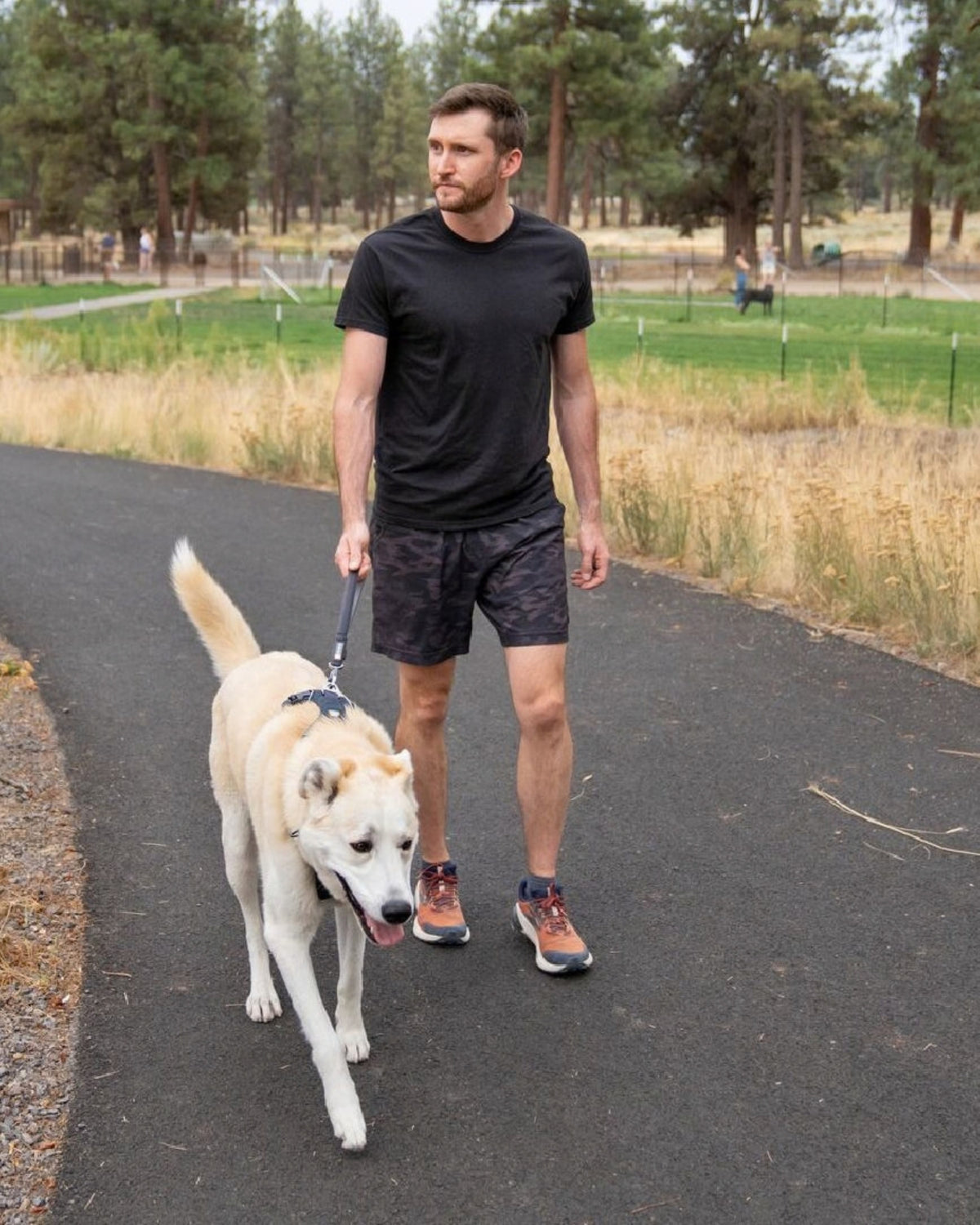 Kısa Köpek Gezdirme Kayışı Ruffwear Front Range