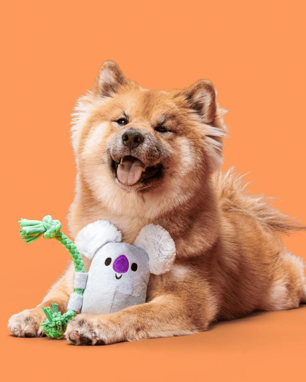 Koala Figürlü İpli Peluş Köpek Oyuncağı BARK Koa Koala