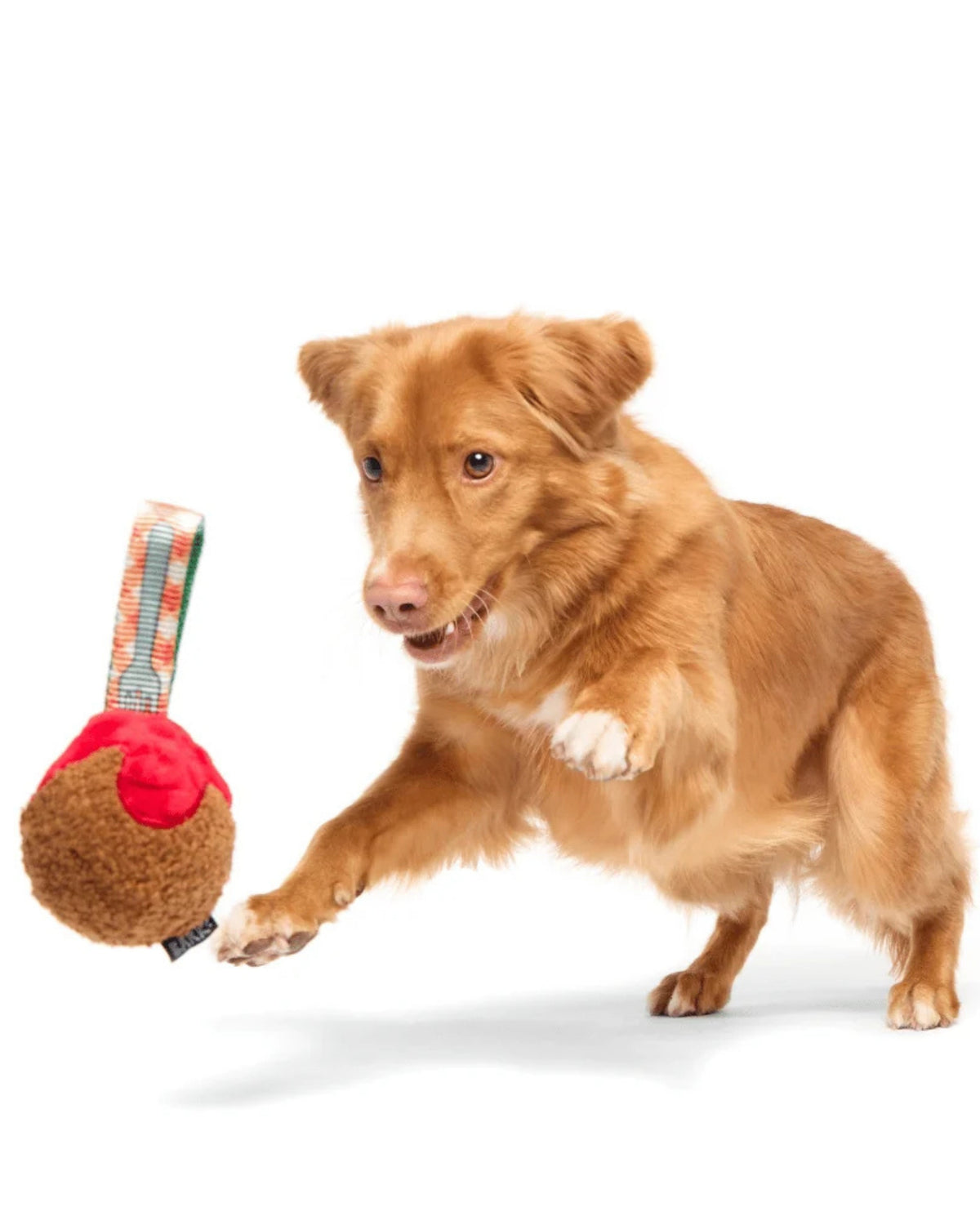 Köfte Figürlü Kayışlı 2'si 1 Arada Sert Çiğneyici Köpek Oyuncağı BARK A Squeaky Meat-A-Ball