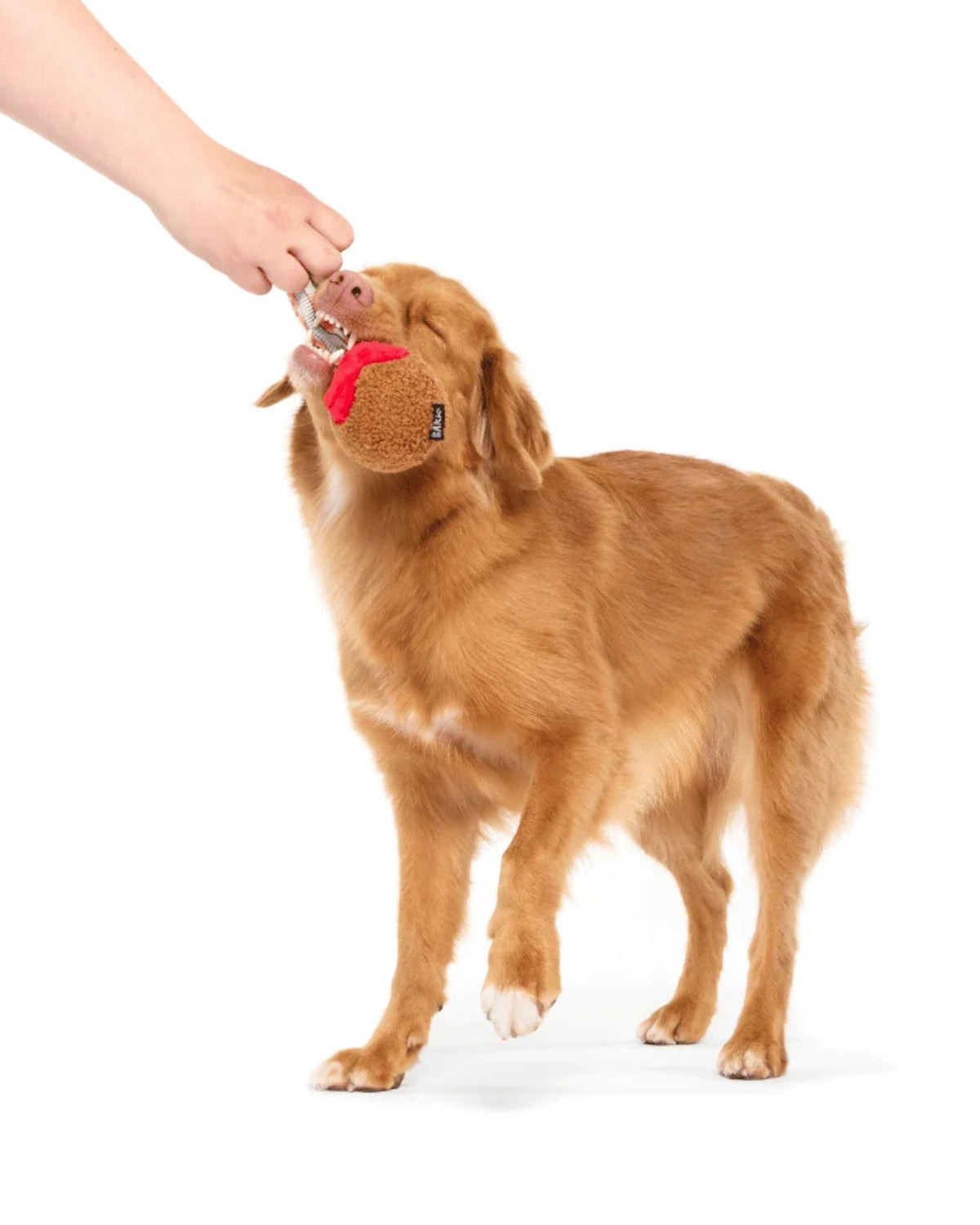 Köfte Figürlü Kayışlı 2'si 1 Arada Sert Çiğneyici Köpek Oyuncağı BARK A Squeaky Meat-A-Ball