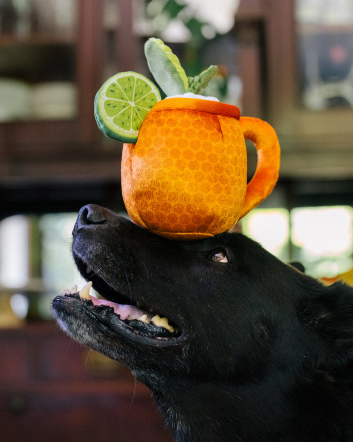 Kokteyl Bardağı Figürlü Çıtırtılı Turuncu Peluş Köpek Oyuncağı P.L.A.Y. Barktender Mospaw Mule
