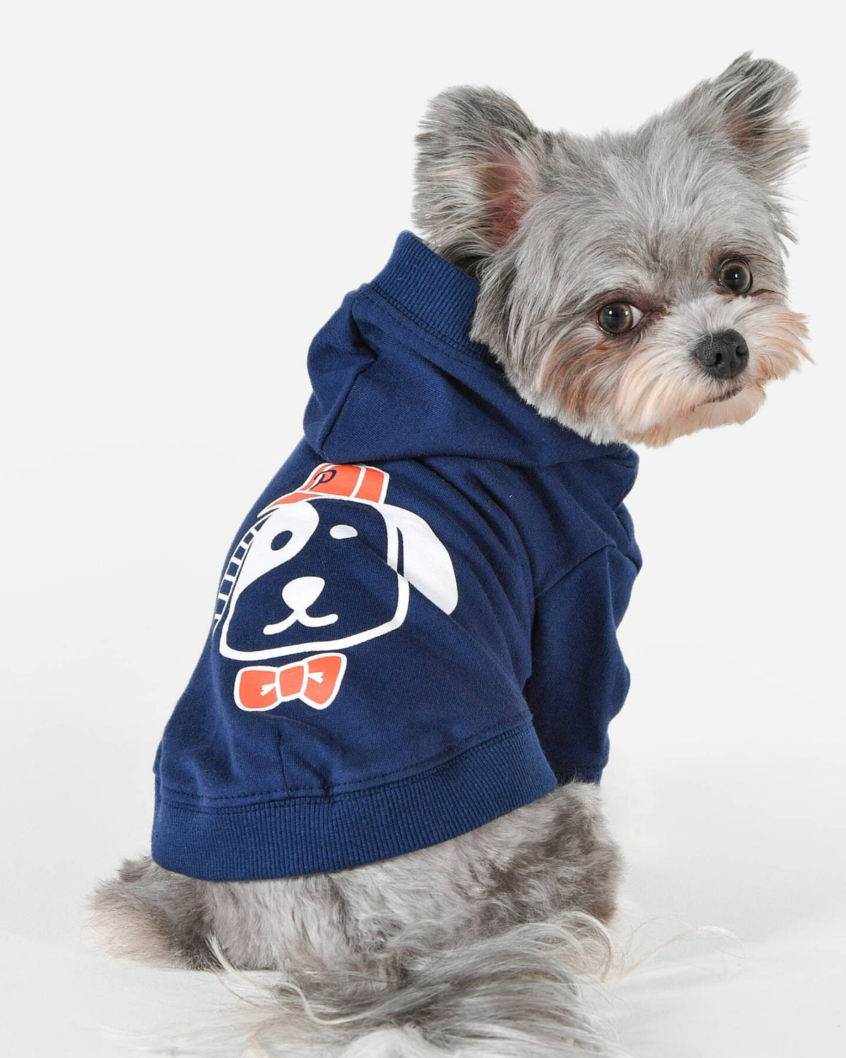 Köpek Baskılı Kapüşonlu Lacivert Köpek Sweatshirtü Puppia Chewie