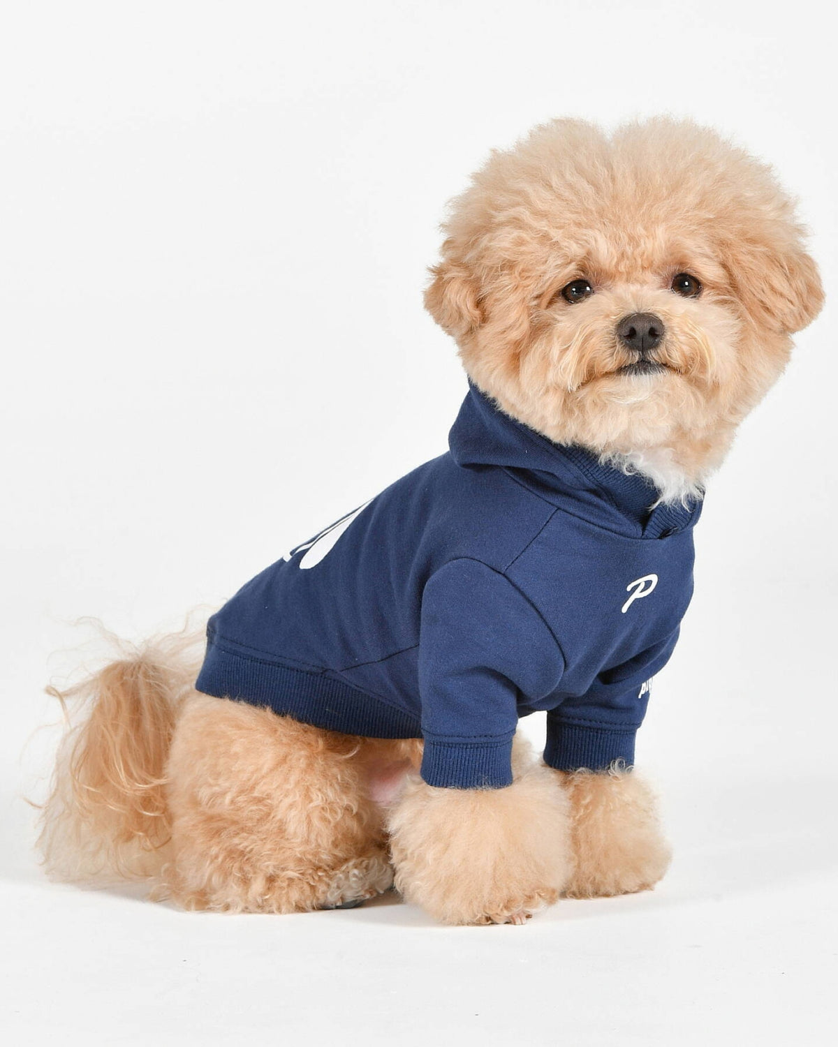 Köpek Baskılı Kapüşonlu Lacivert Köpek Sweatshirtü Puppia Chewie