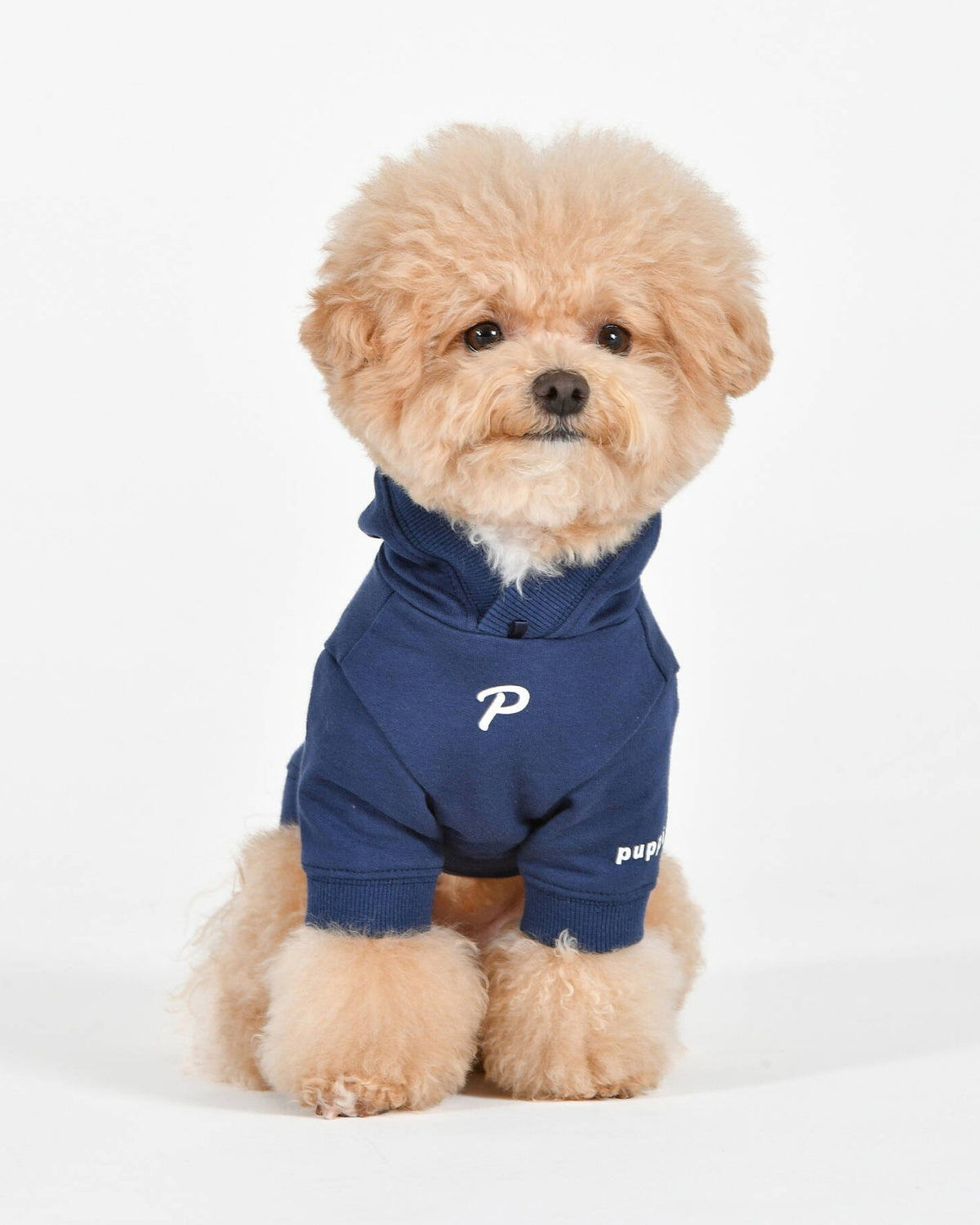 Köpek Baskılı Kapüşonlu Lacivert Köpek Sweatshirtü Puppia Chewie