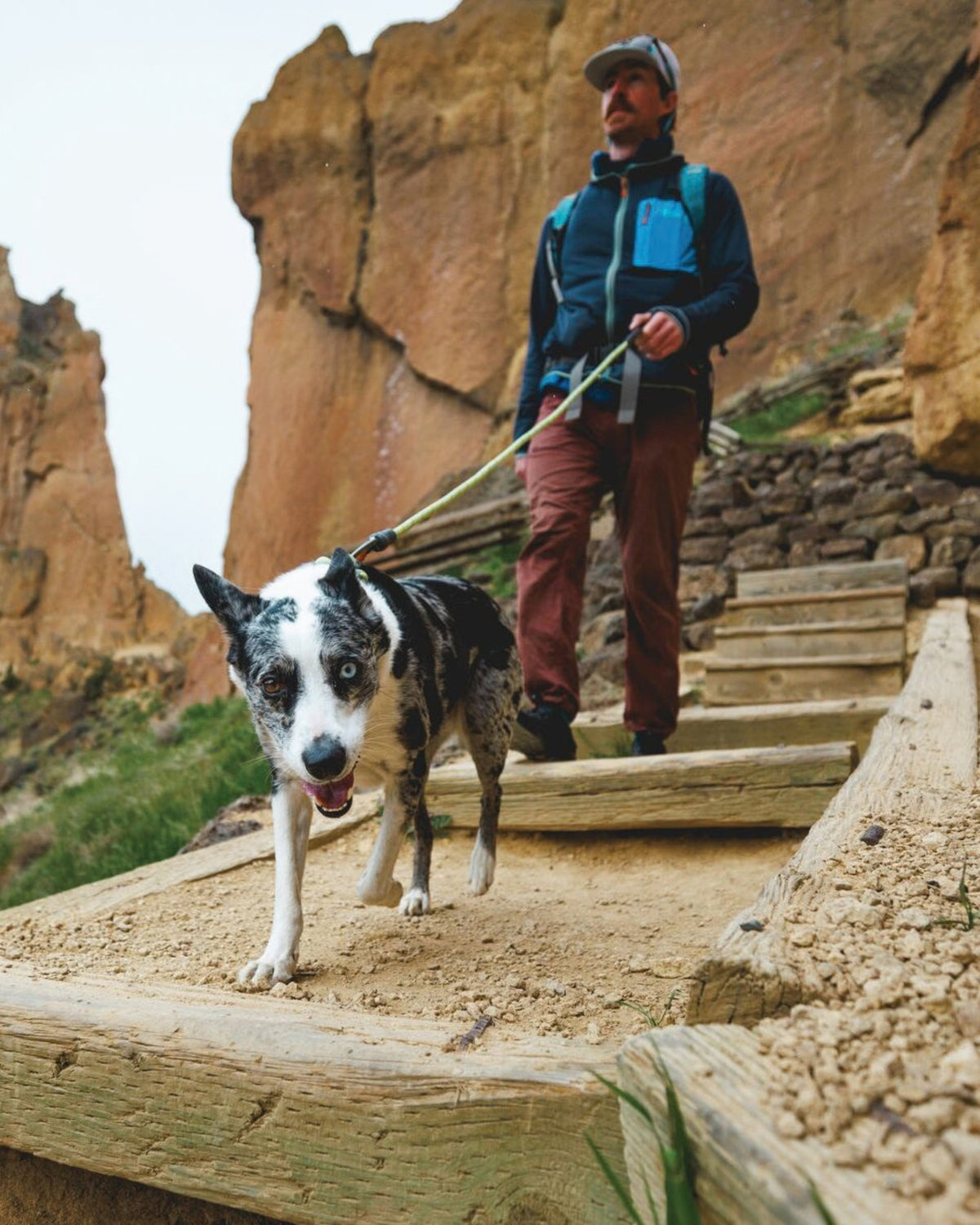 İp Köpek Gezdirme Tasması Ruffwear Knot a Leash