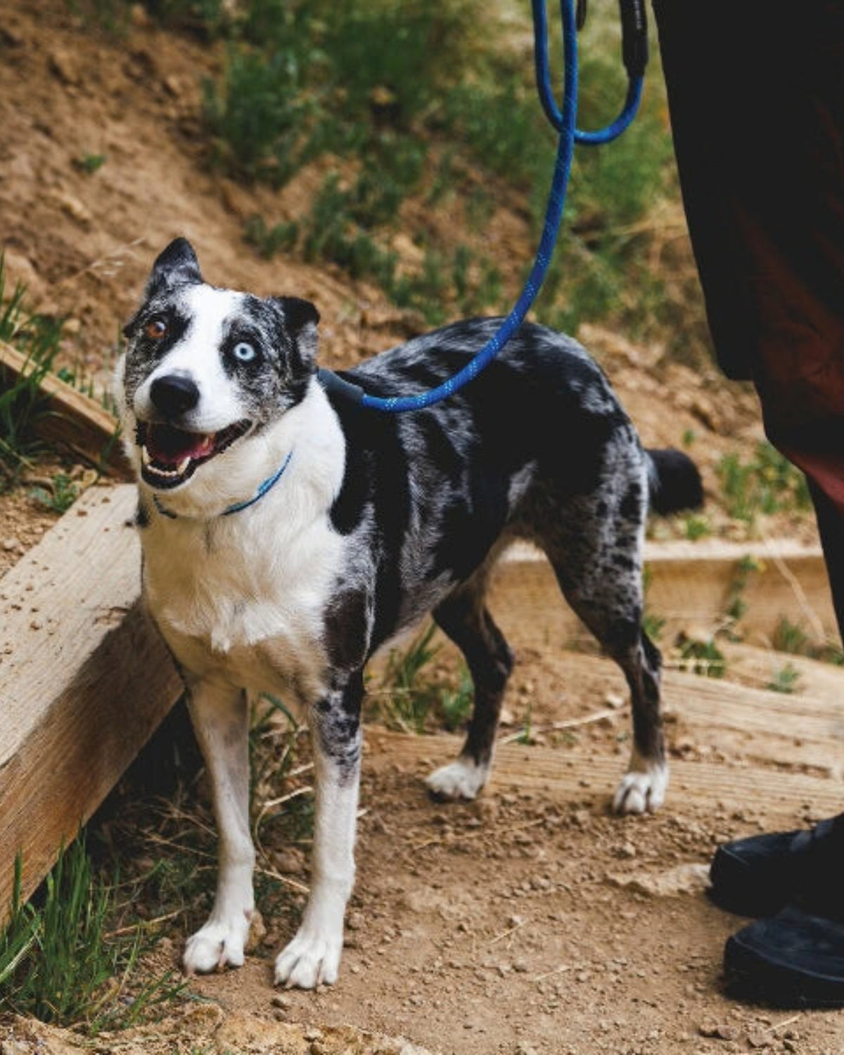 İp Köpek Gezdirme Tasması Ruffwear Knot a Leash