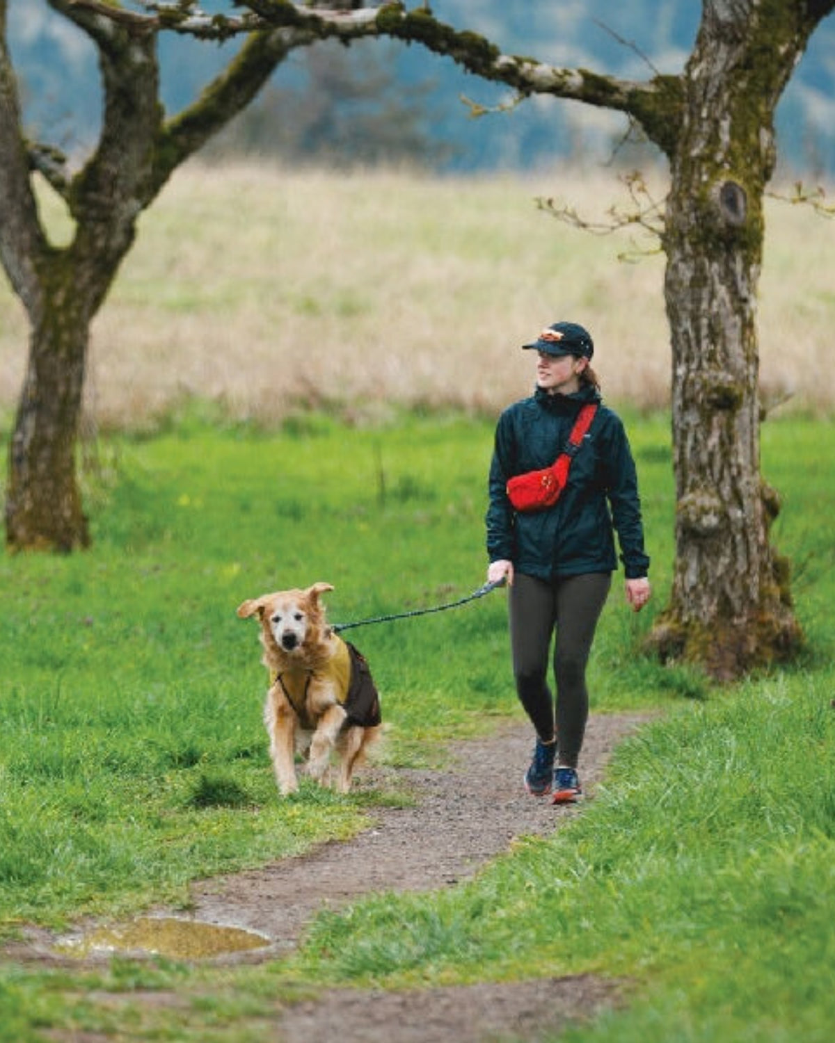 İp Köpek Gezdirme Tasması Ruffwear Knot a Leash