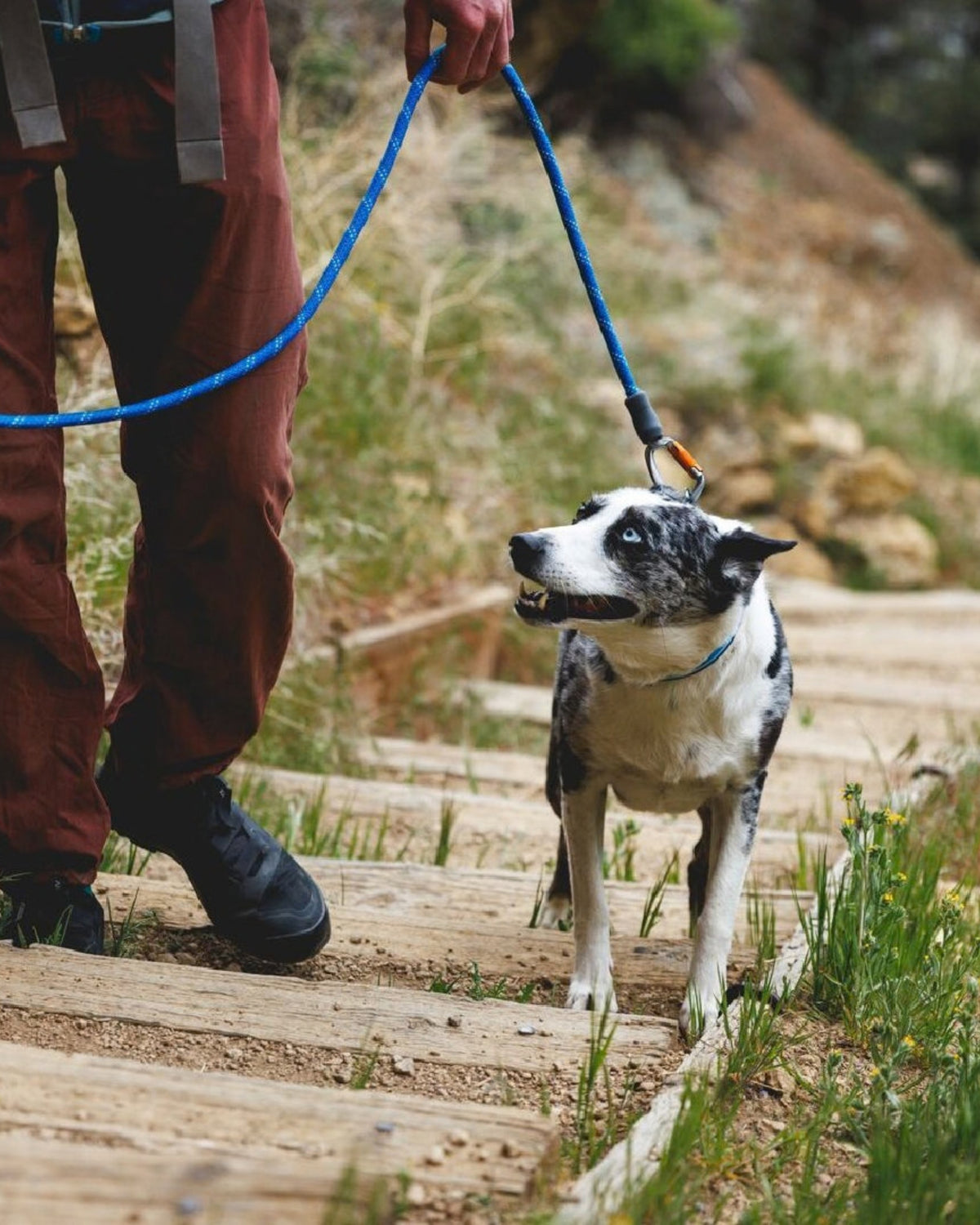 İp Köpek Gezdirme Tasması Ruffwear Knot a Leash