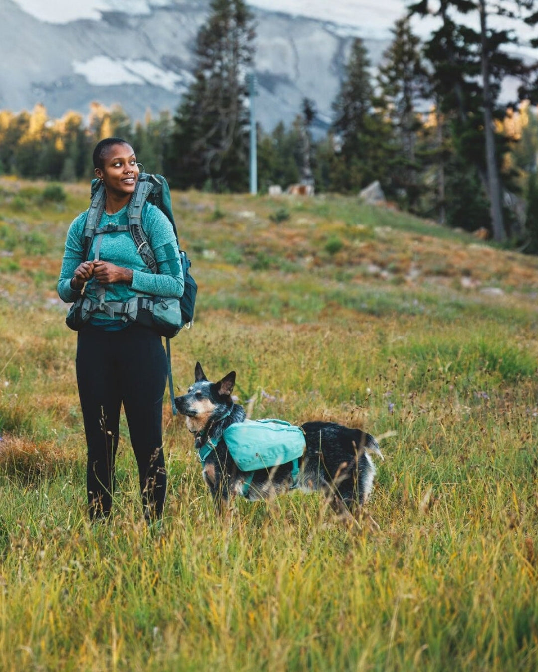 Köpek Sırt Çantası Ruffwear Front Range Day Pack
