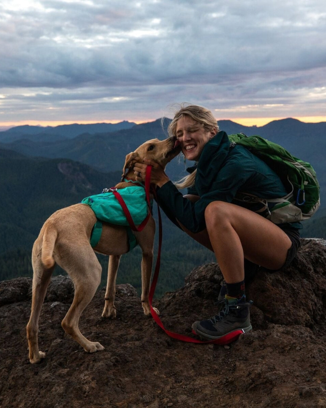 Köpek Sırt Çantası Ruffwear Front Range Day Pack