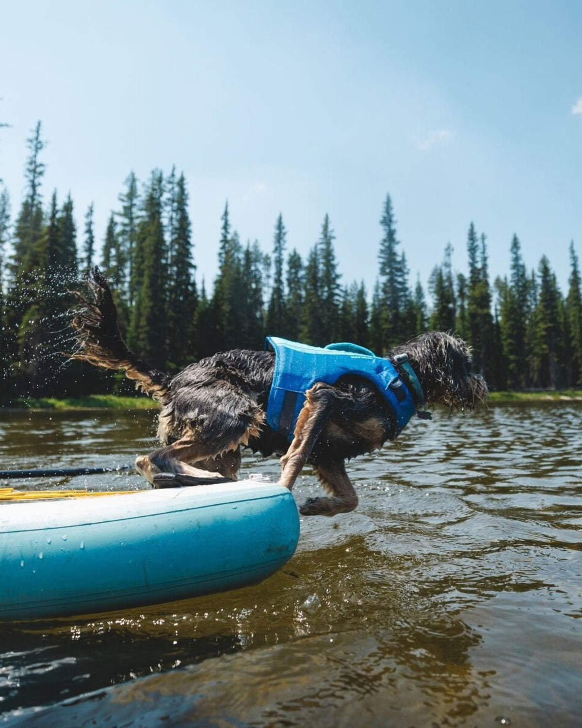 Köpek Can Yeleği Ruffwear Float Coat