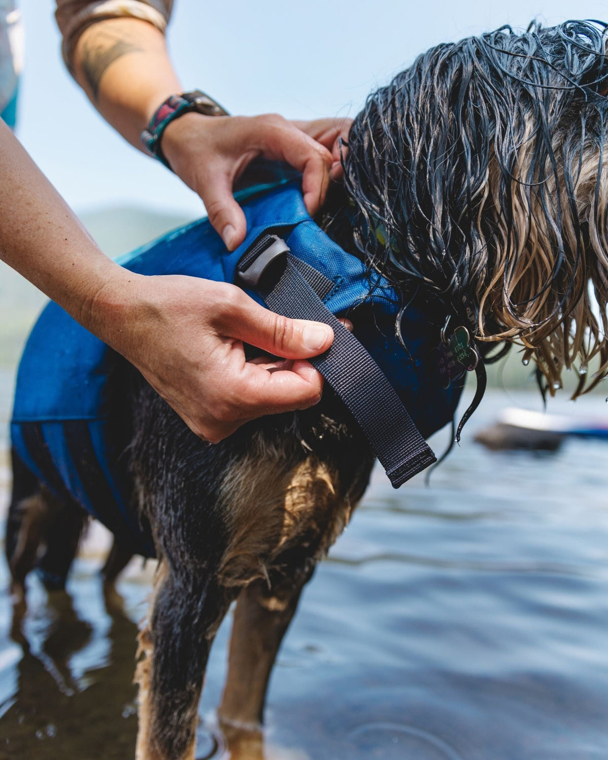 Köpek Can Yeleği Ruffwear Float Coat