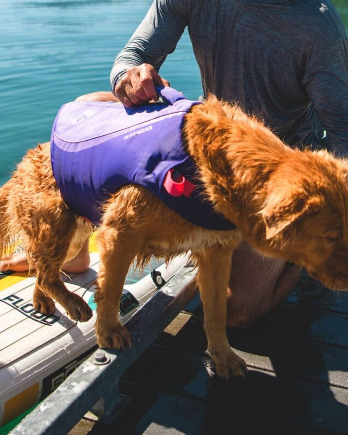Köpek Can Yeleği Ruffwear Float Coat