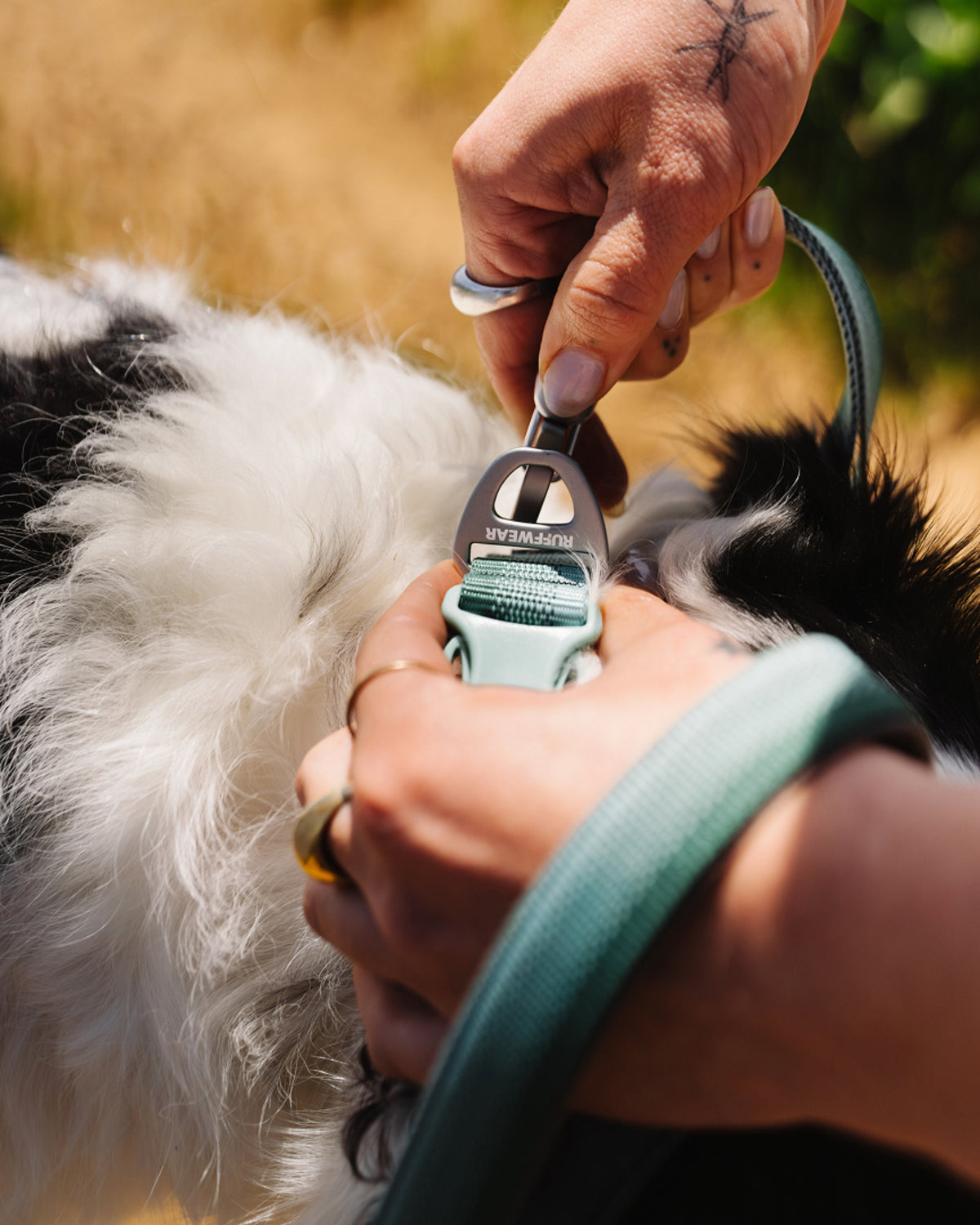 Köpek Gezdirme Tasması Ruffwear Front Range
