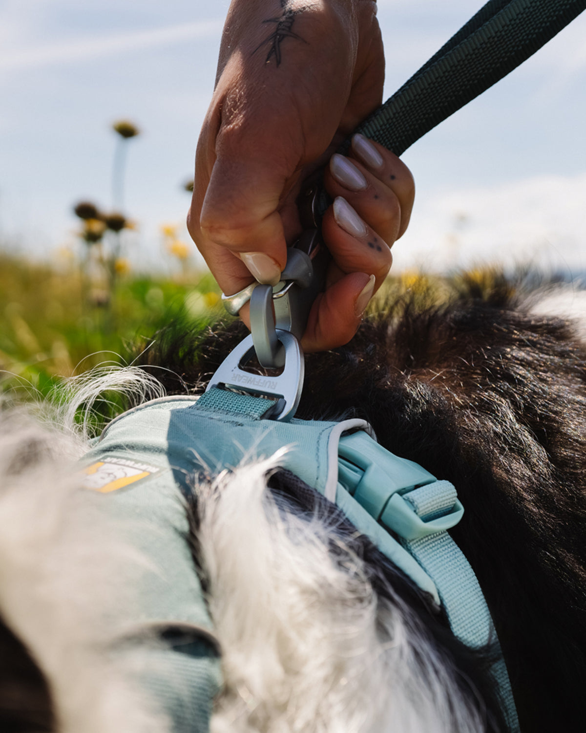 Köpek Gezdirme Tasması Ruffwear Front Range