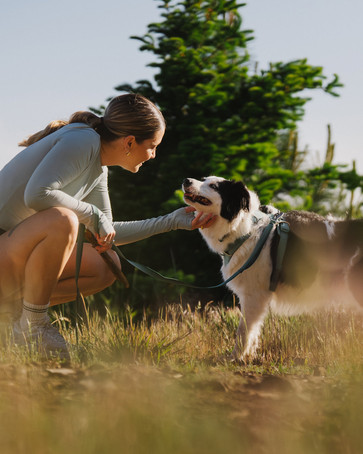 Köpek Gezdirme Tasması Ruffwear Front Range