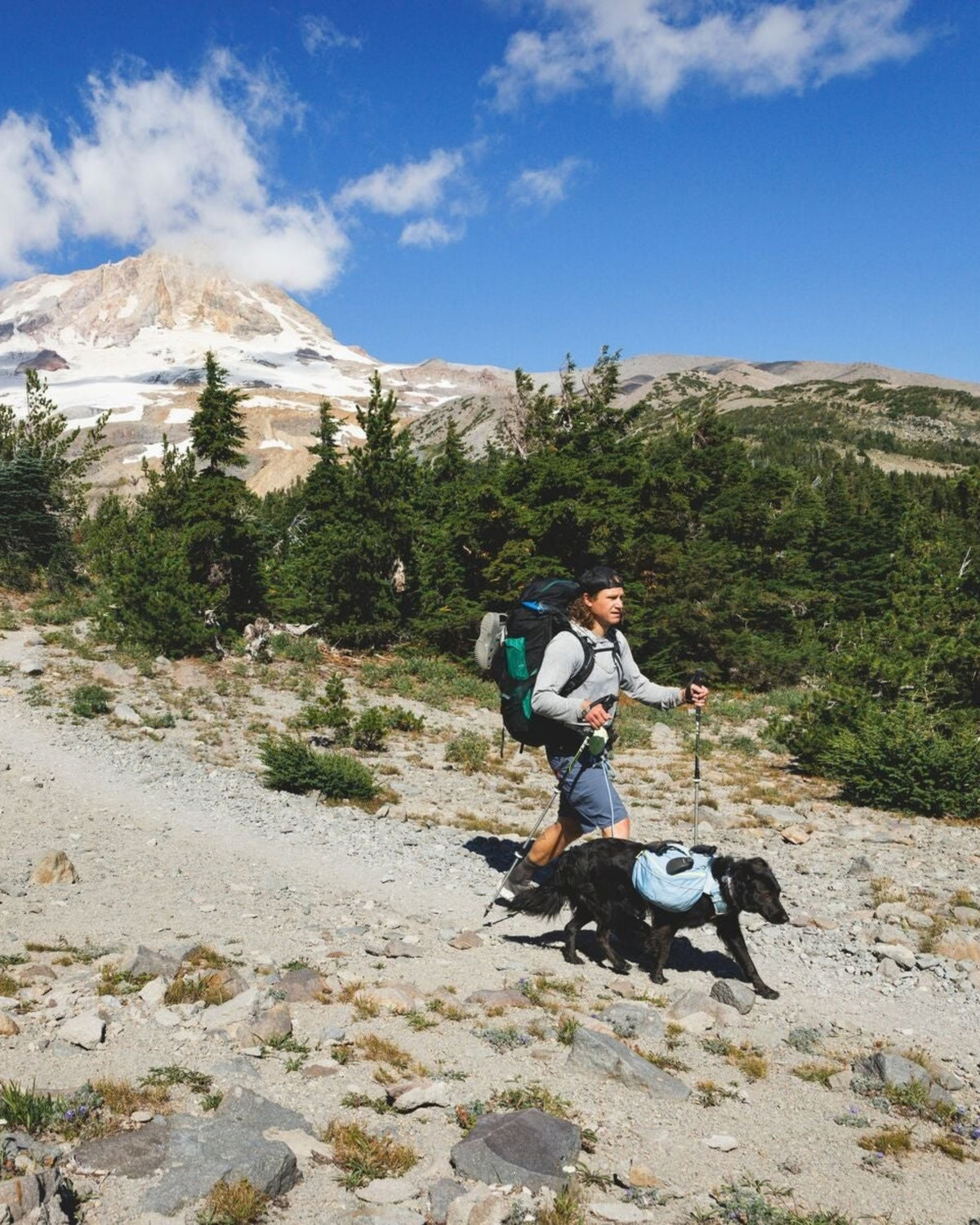 Köpek Sırt Çantası Ruffwear Palisades