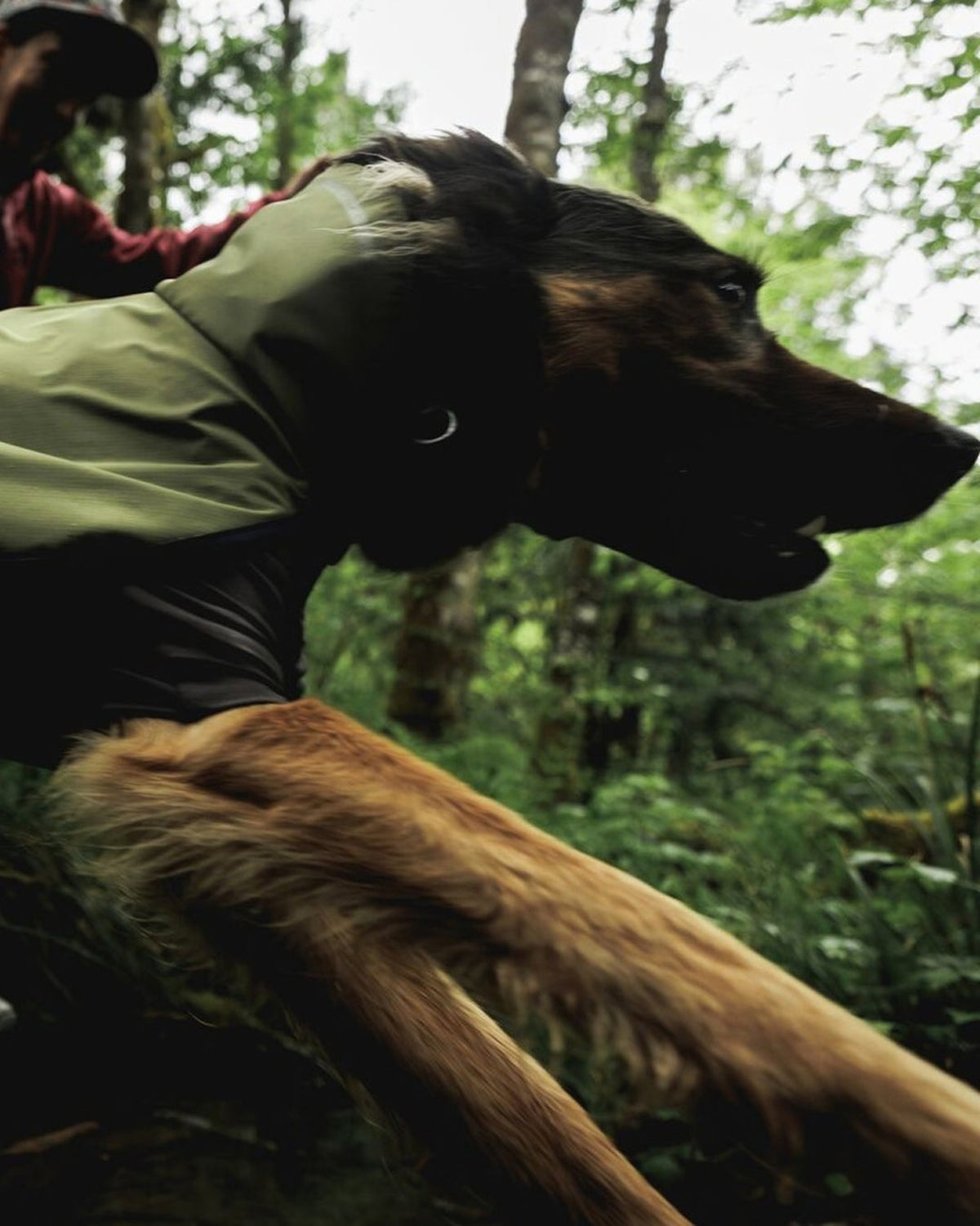 Köpek Yağmur Tulumu Lacivert Ruffwear Sun Shower