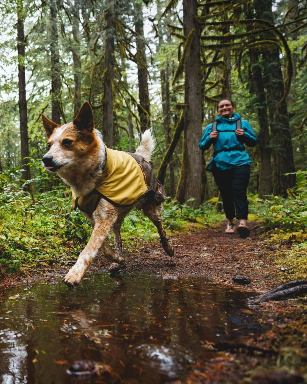 Köpek Yağmurluğu Ruffwear Sun Shower