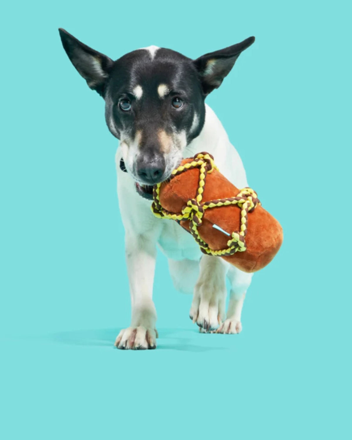 Korsan Temalı İpli Peluş Köpek Oyuncağı BARK Barkbeard's Rum