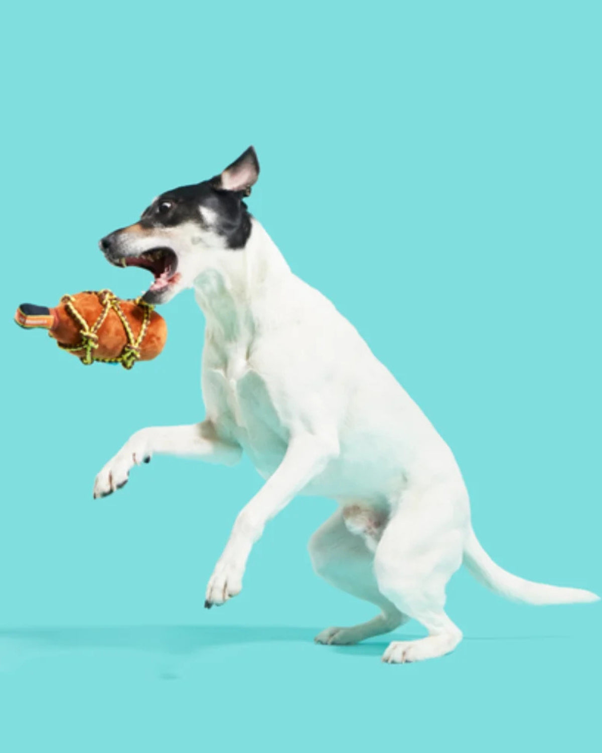 Korsan Temalı İpli Peluş Köpek Oyuncağı BARK Barkbeard's Rum