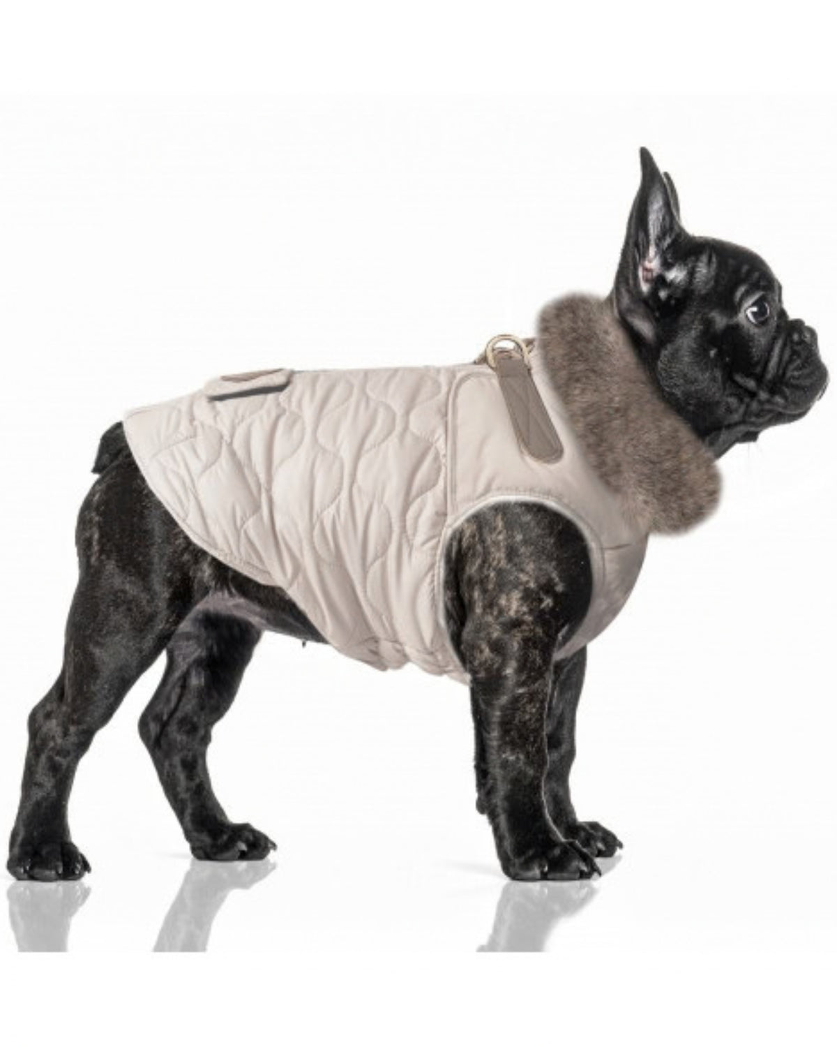 Koşum Takımlı Kapitone Köpek Montu Milk&Pepper Agatha Harness Down Jacket