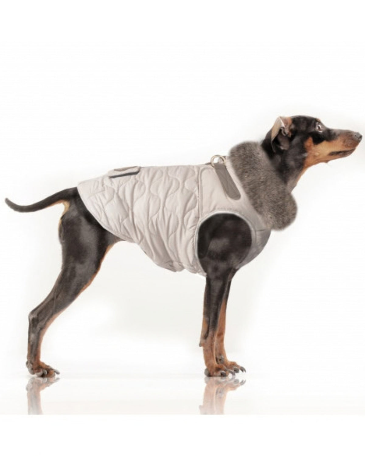 Koşum Takımlı Kapitone Köpek Montu Milk&Pepper Agatha Harness Down Jacket