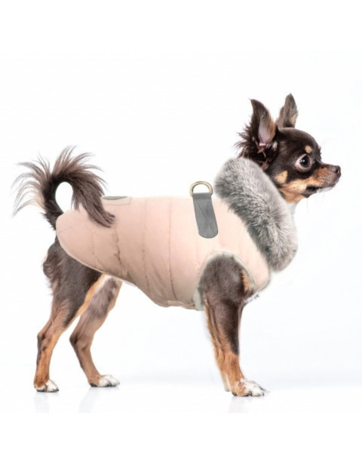 Koşum Takımlı Kapitone Köpek Montu Milk&Pepper Faustine Harness Down Jacket