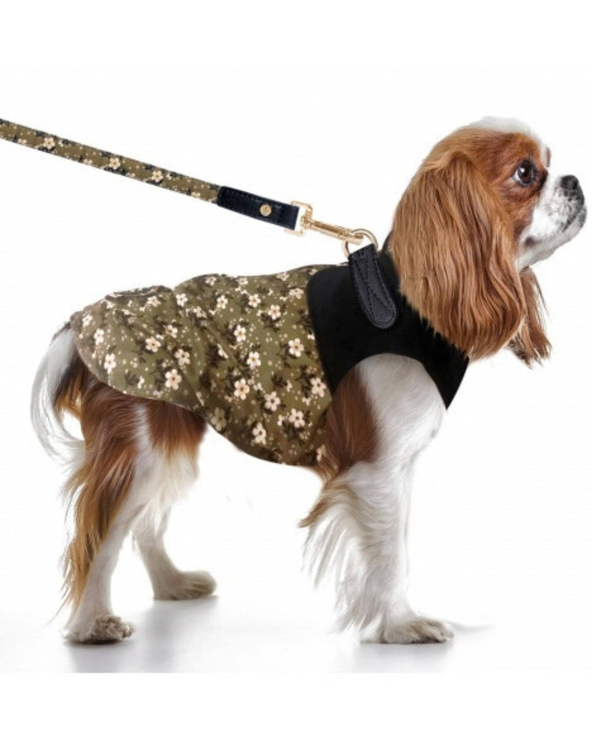 Koşum Takımlı Köpek Yağmurluğu Milk&Pepper Mary Harness Raincoat