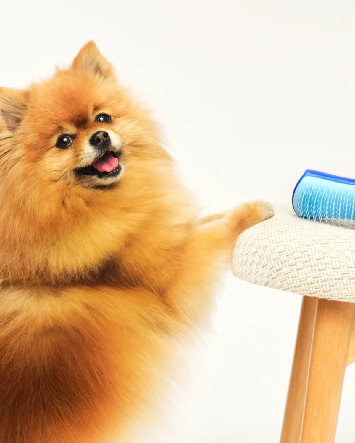 Küçük Irk Köpekler İçin Tüy Dökülme Fırçası Tangle Teezer De Shedding Dog Grooming Brush Small