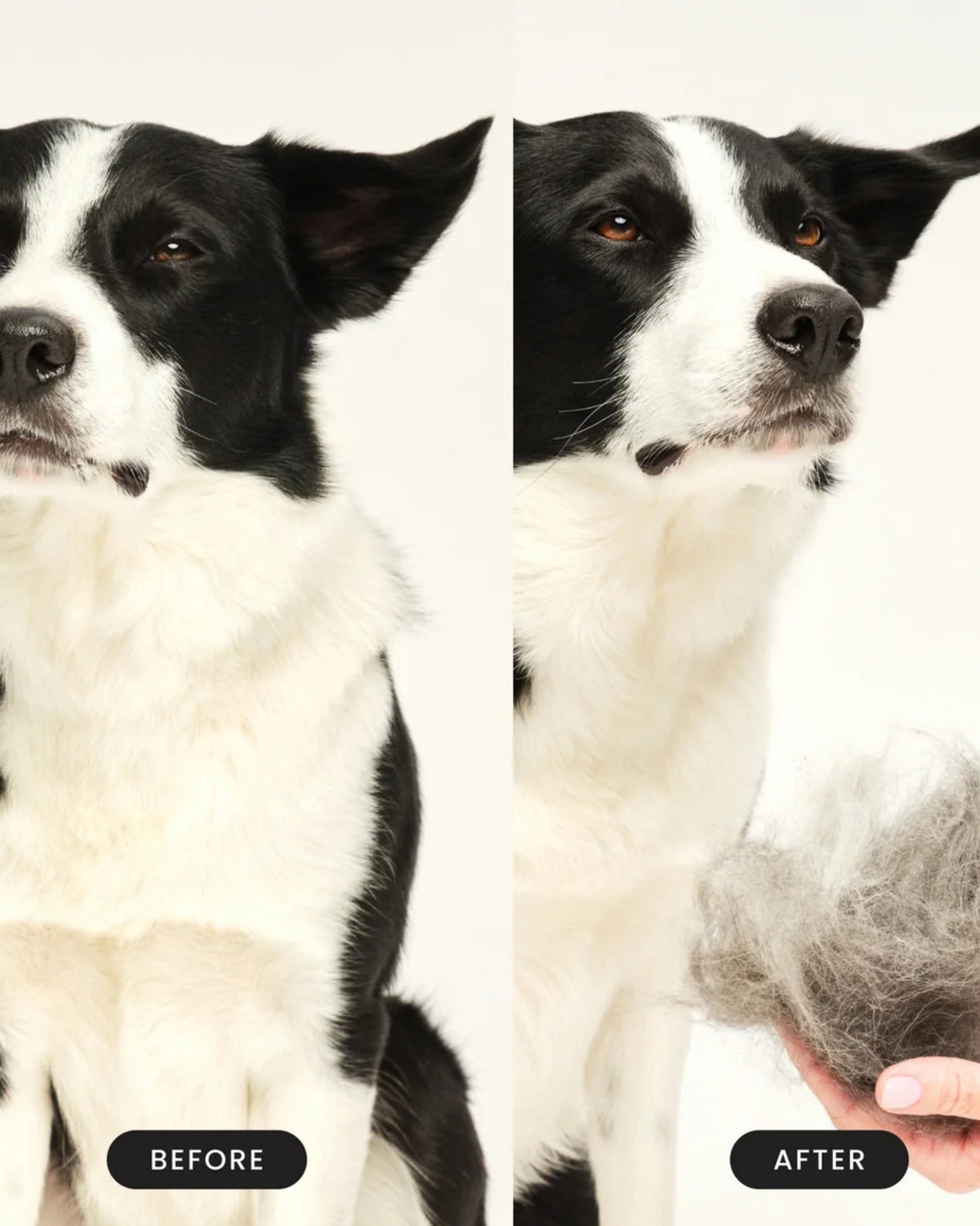 Küçük Irk Köpekler İçin Tüy Dökülme Fırçası Tangle Teezer De Shedding Dog Grooming Brush Small