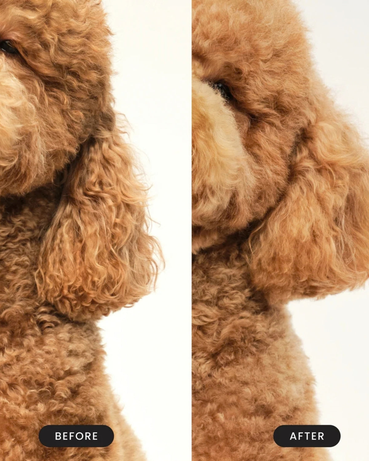 Küçük Irk Köpekler İçin Tüy Açma Fırçası Tangle Teezer Detangling Dog Grooming Brush Small