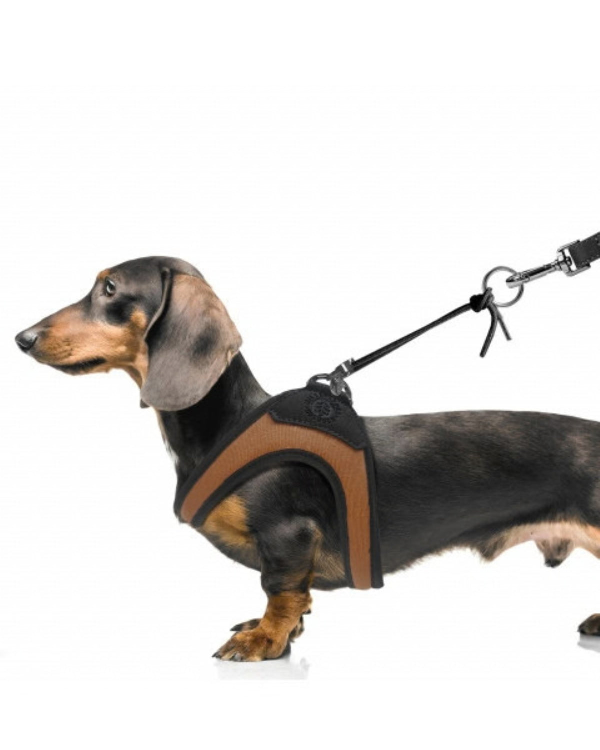 Kumaş Köpek Göğüs Tasması Milk&Pepper Uluru Slings Harness