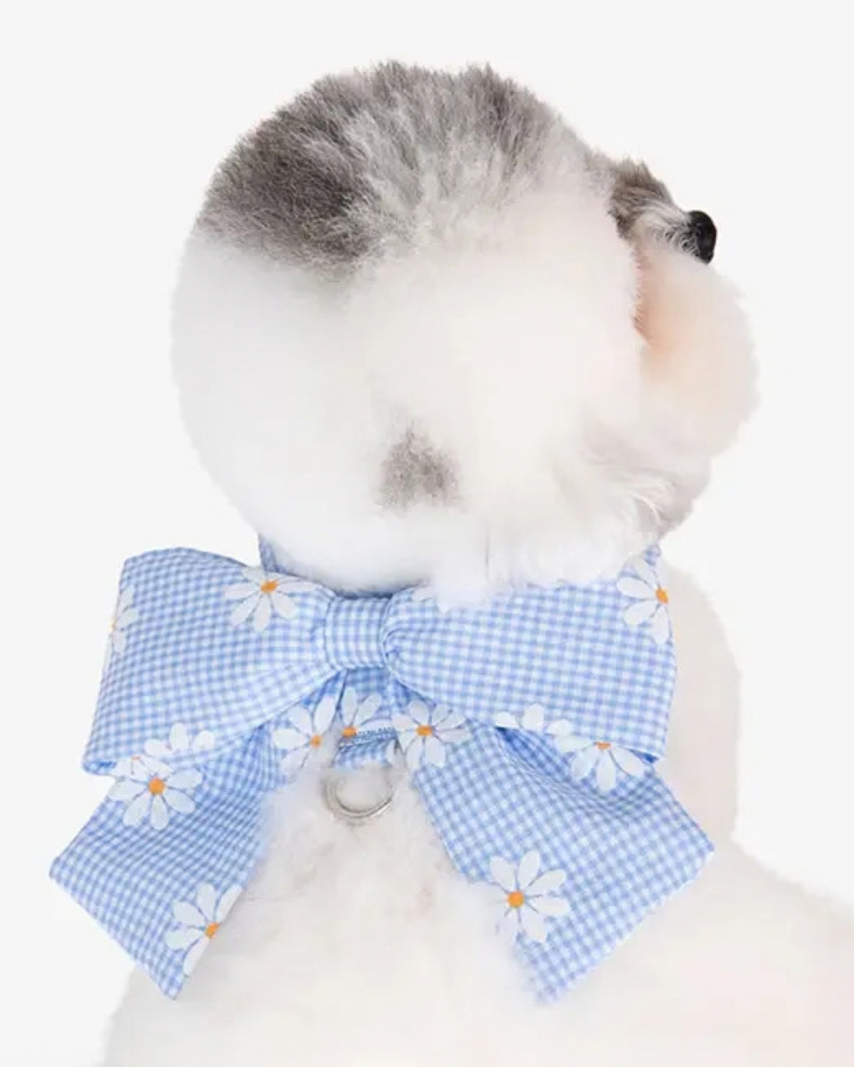Kurdeleli Yelek Tipi Açık Mavi Köpek Göğüs Tasması Olchi Candy Ribbon Harness